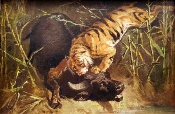 huile-sur-toile-scene-de-chasse-tigre-attaquant-un-buffle-19-eme-1