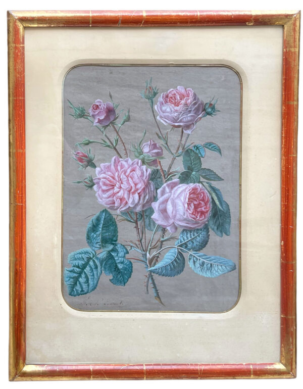 gouache-fleurs-par-francois-nicolas-laurent-2