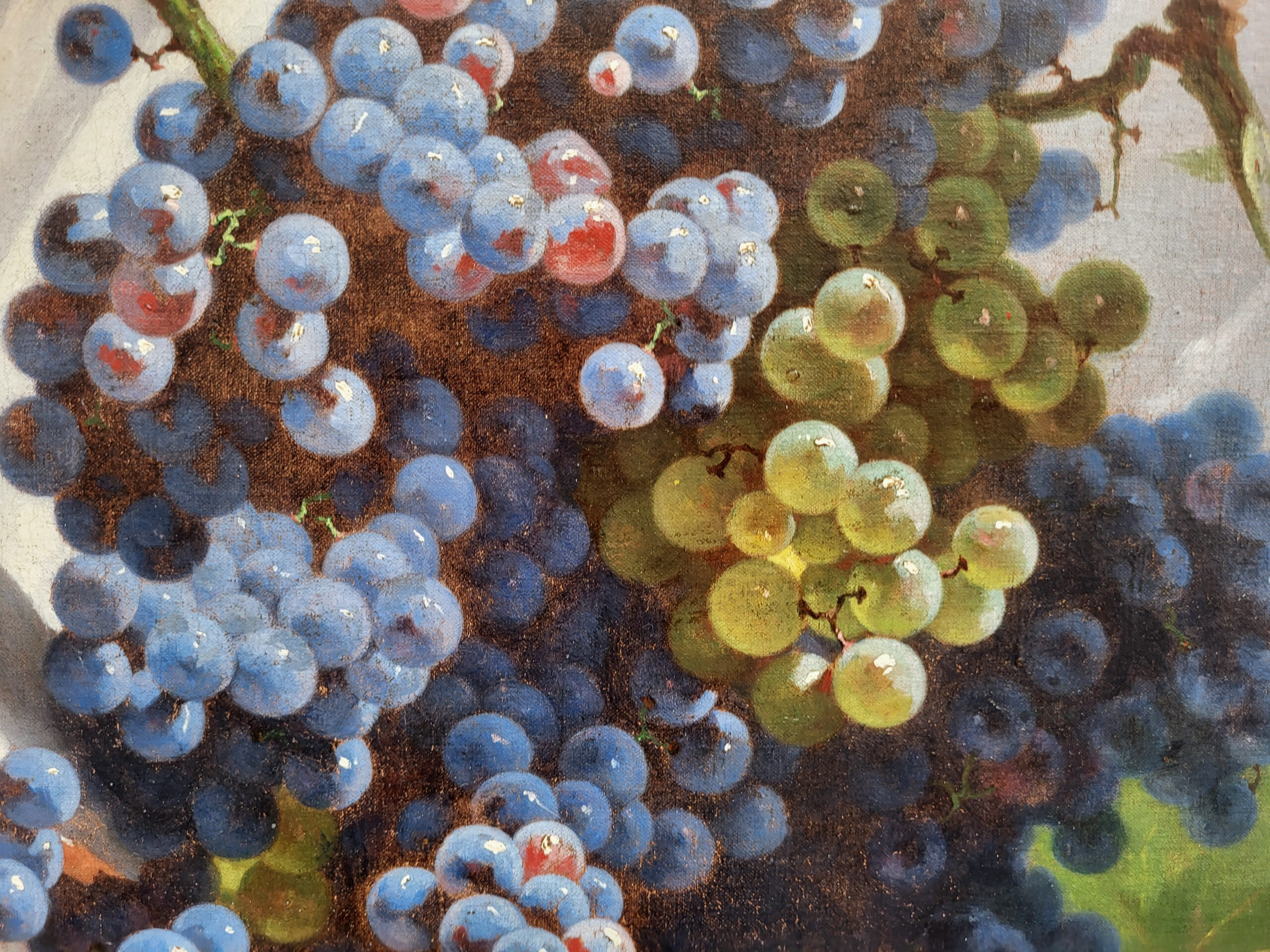 huile-sur-toile-nature-morte-aux-raisins-par-nestor-bavoux-2