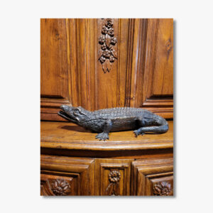 une-boite-a-cigare-crocodile-en-bronze-19-eme